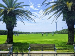 磐田市竜洋海洋公園の芝生広場